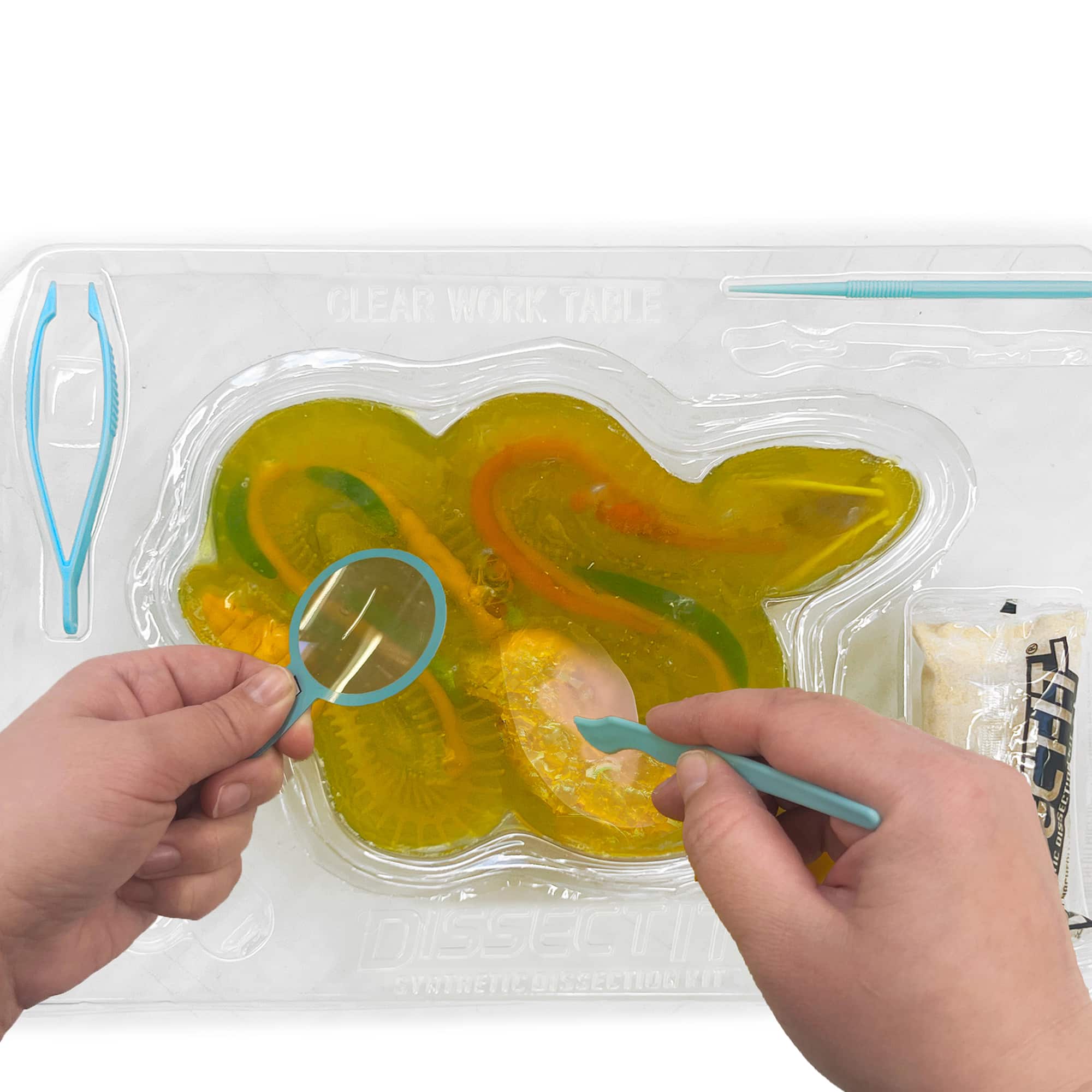 Dissect It Rattlesnake Super Lab Kit